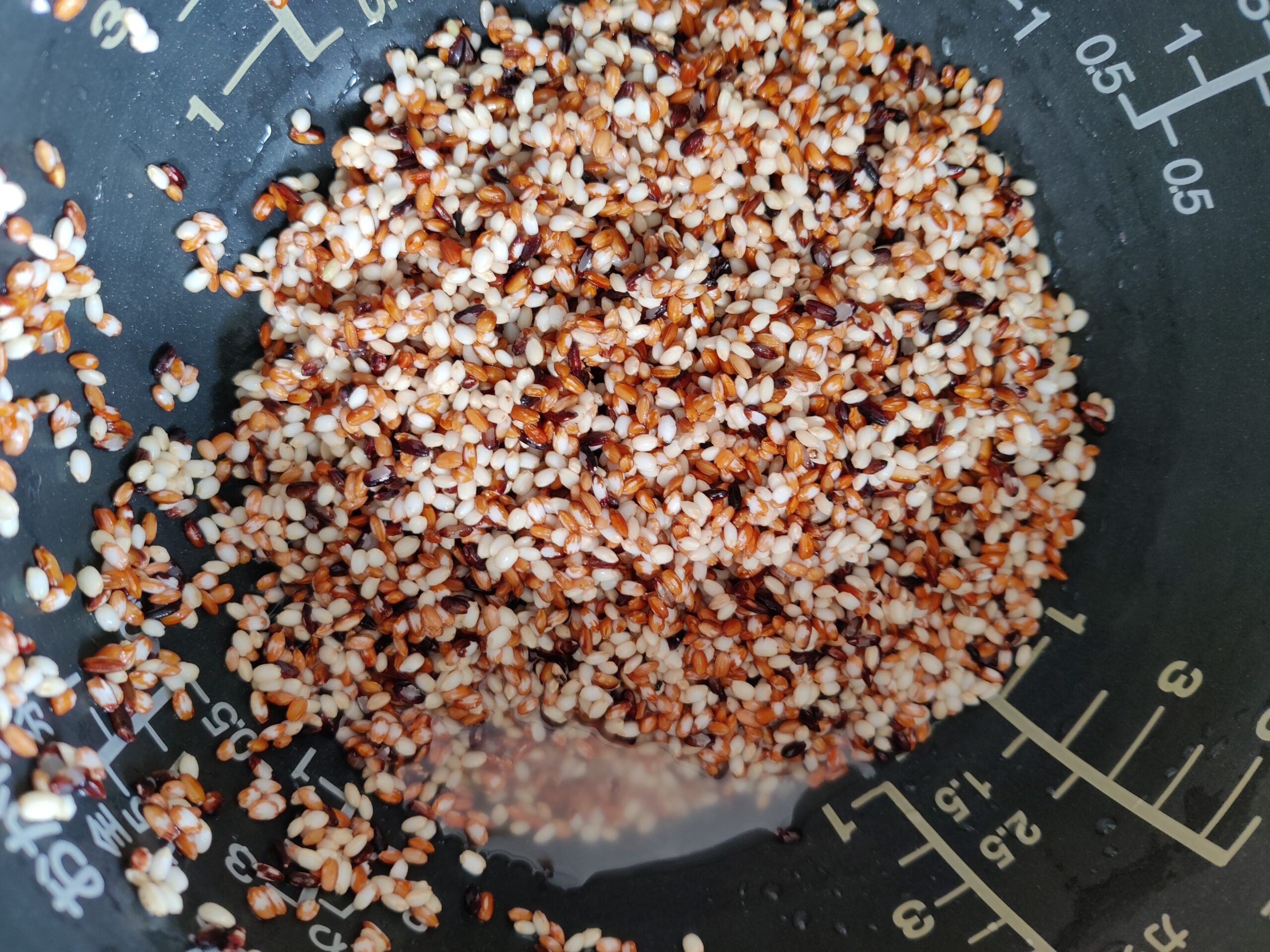 three colours of ancient rice grains mixed and washed still wet in the bottom of a rice cooker pot.