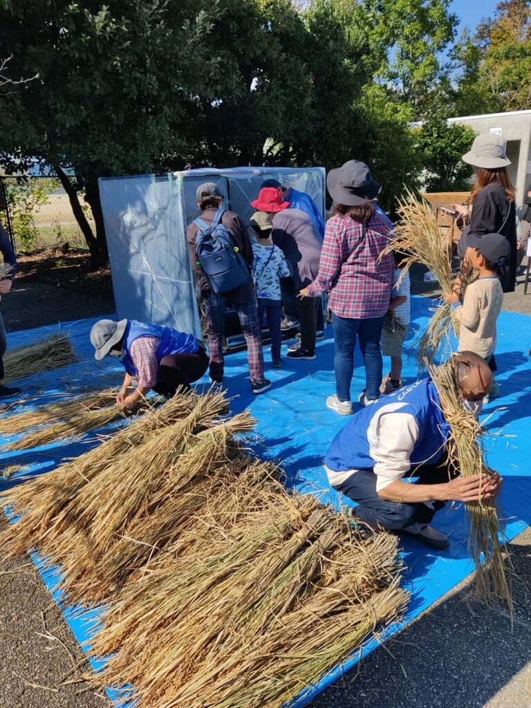 volunteers take bundles of rice to prepare from a large pile in the foreground. Behind them, a line of children and parents holding rice bundles advances toward a tent-like box where the thresher is.